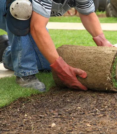 Landscaping image